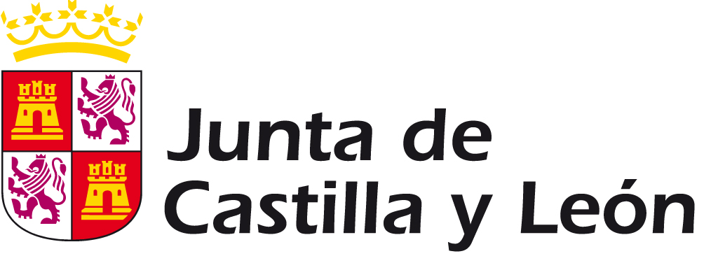 Ayudas de la Junta de Castilla y León